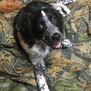 Meet your Posher, Brianna